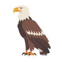 Majestic eagle standing proudly with sharp gaze and detailed plumage vector