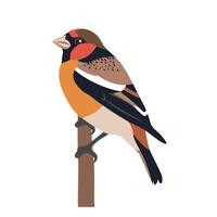 Colorful bird perched on a branch during a sunny day in nature vector