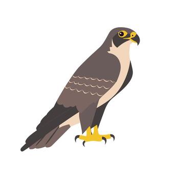 Falcon standing on a branch with a vivid appearance in a clear background vector