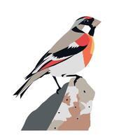 Colorful bird perched on a rock with artistic design in a minimalist style vector