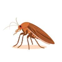 Brown cockroach on a light background exploring its surroundings in a domestic setting vector