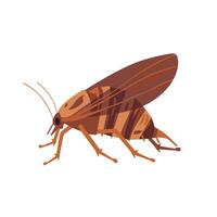 Brown insect with wings resting on a surface in a simplified illustration style vector