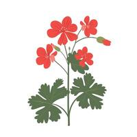 Bright red flowers with green leaves in a minimalistic design showcasing nature's beauty vector