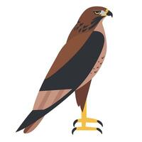 Golden eagle perched with strong posture and striking features in a simple design vector