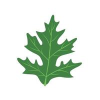 Green leaf with intricate patterns depicting nature's beauty and detail vector