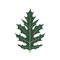 Unique green leaf with red berries displayed against a plain background vector