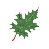 Green oak leaf displayed against a plain background highlighting its unique shape and texture vector