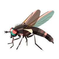 Detailed illustration of a colorful fly showcasing intricate features and design elements vector