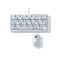 Computer keyboard and mouse arranged neatly on a clean white background vector