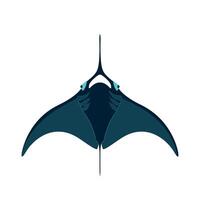 Manta ray gliding gracefully through turquoise waters in a tropical ocean vector