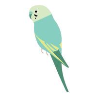 Colorful parakeet perched gracefully on a branch in a serene environment vector
