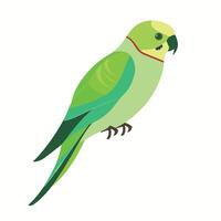 Colorful green parrot perched on a branch in a minimalist style illustration vector