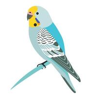Colorful budgerigar perched on a branch with vibrant plumage in a bright setting vector