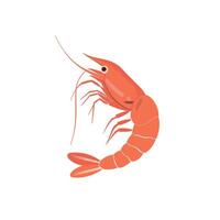 Shrimp depicted in vibrant detail showcasing its distinct features and colors vector