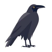 Raven perched quietly on a branch in a natural setting during daylight hours vector