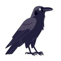 Black raven with detailed feathers perched in a calm setting during daylight hours vector