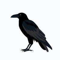 Black raven perched in profile view with detailed feather texture on a white background vector