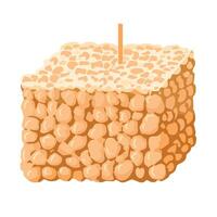 Square piece of textured food with a stick, ideal for grilling or snacking vector