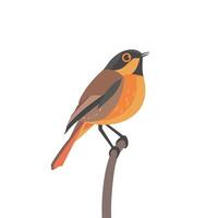 Colorful bird perched on a branch in a minimalist setting showcasing its vibrant feathers vector