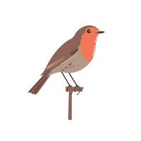 Colorful bird perched on a branch in a minimalistic style illustration vector