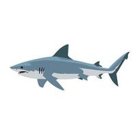 Shark swimming smoothly through the ocean waters, showcasing its streamlined body vector