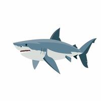Shark swimming through the ocean, showcasing its powerful build and sharp teeth vector