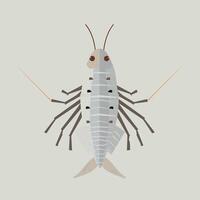 Illustration of a detailed marine shrimp in natural colors with distinct features vector
