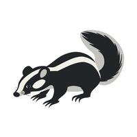 European badger exploring a grassy area in a forest during the daytime in summer vector