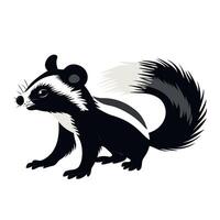 Illustration of a black and white animal with bushy tail and distinct markings vector