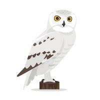 Snowy owl on perch in a simple illustration showcasing its distinct features vector