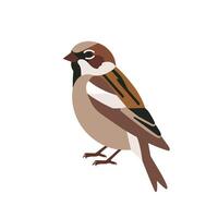 Sparrows resting peacefully on a branch during a sunny day in the park vector