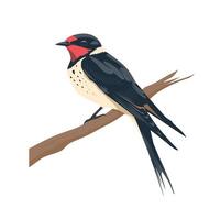 Colorful bird perched on a branch showcasing vibrant feathers in a natural setting vector