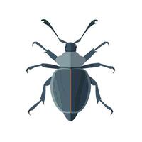 Detailed illustration of a beetle showcasing its unique features and colors vector