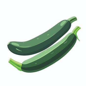 Fresh green zucchinis displayed on a white background for culinary use vector