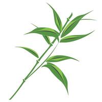 Green bamboo plant with multiple leaves and joints in a vibrant illustration style vector