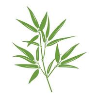Green bamboo plant branch with vibrant leaves on a clean white background vector