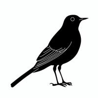 Black silhouette of a bird perching on one leg against a plain background vector