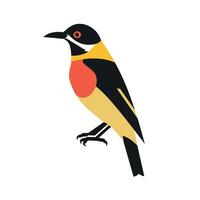Colorful bird perched on branch, showcasing vibrant plumage and distinct features vector