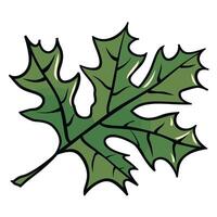 Leaf illustration depicting a detailed green oak leaf with distinctive lobes and veins vector