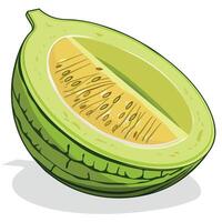 Bright green melon sliced open revealing juicy interior with seeds and texture vector