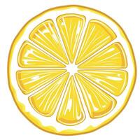 Bright yellow lemon sliced into wedges on a white background ready for use in drinks and dishes vector