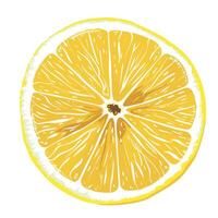Vibrant and fresh lemon slice showcasing its juicy texture and bright color vector