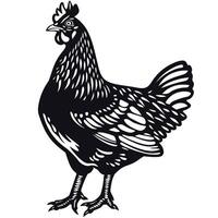 Black silhouette of a chicken standing on a white background showcasing its distinct features vector