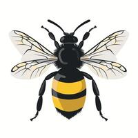 Bee resting on a flower during a sunny day in a garden vector