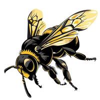 Detailed illustration of a bee showcasing vibrant colors and intricate features vector