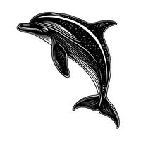 Dolphin swimming gracefully in the ocean with a striking black and white design vector