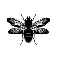 Detailed illustration of a bee showcasing wing structure and body patterns vector
