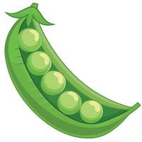 Fresh green peas inside a pod displayed on a white background vector