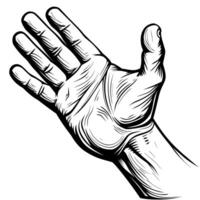 Hand illustration showing open palm and fingers in simple, clear style vector