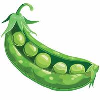 Fresh green pea pod with ripe peas inside on a white background vector